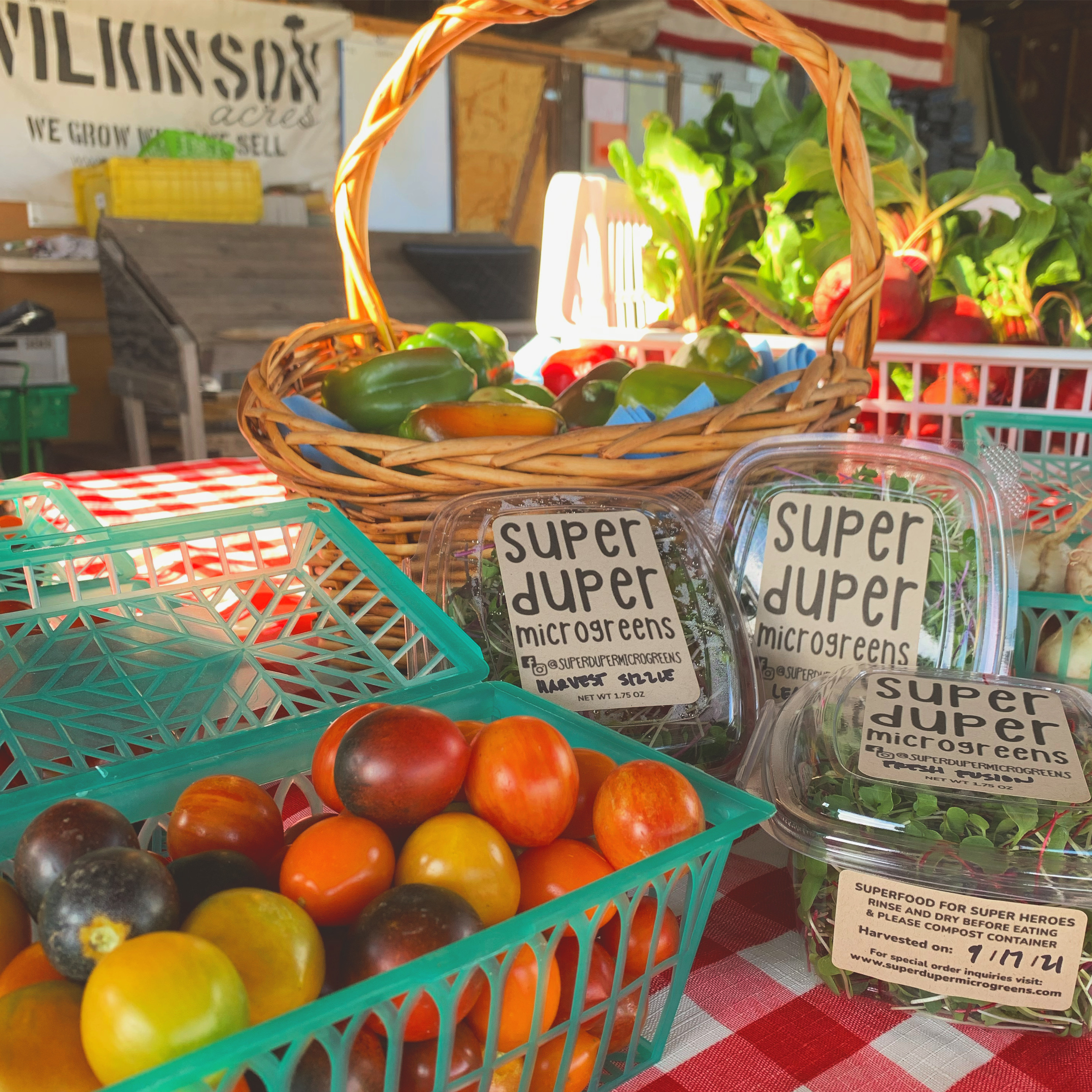 Super Duper Microgreens