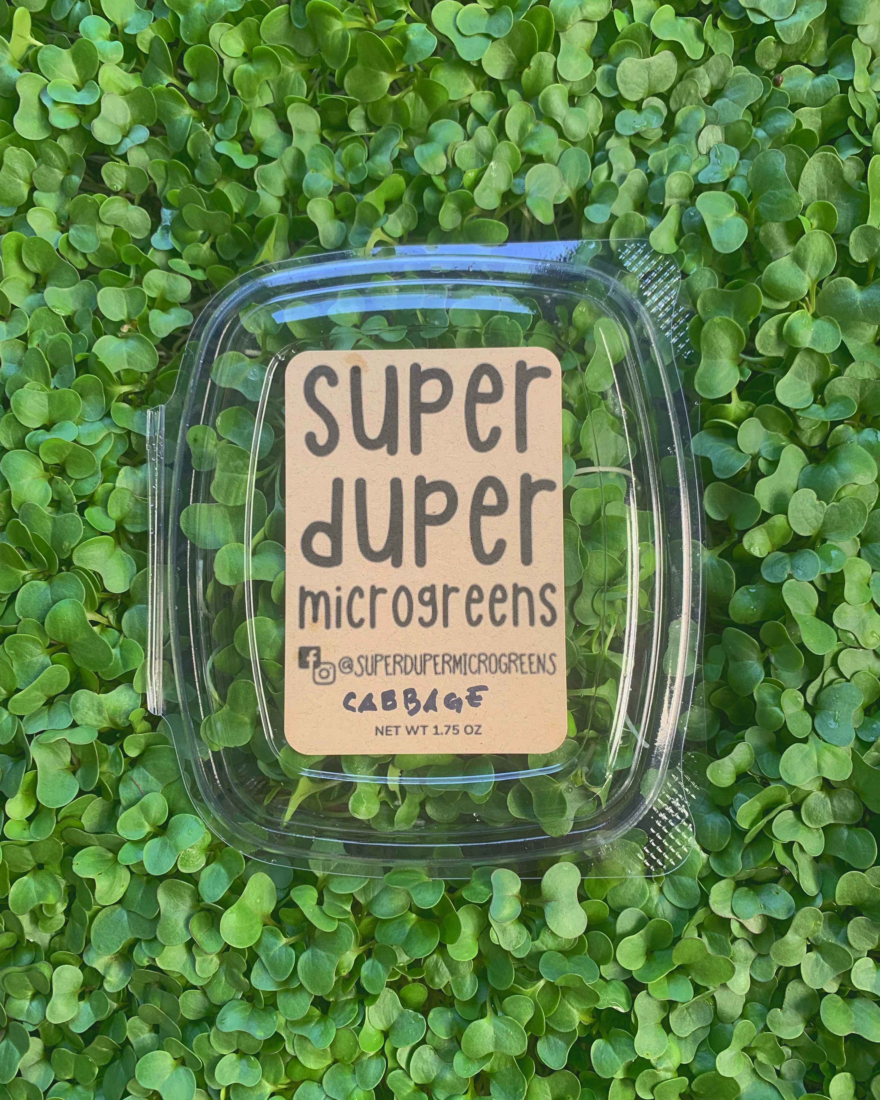 Super Duper Microgreens