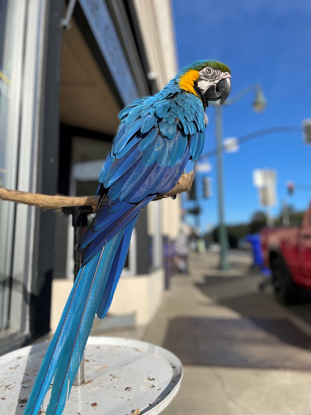 Sugar City Pet Supply